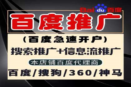 SEM推广优化中的关键词策略——以某品牌为例